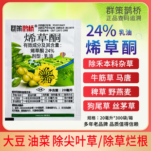 24%ϩ��ͪȺ���o������Ͳ������̱����s�ݳ��݄�20ml