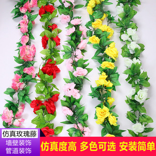 �ߙn���滨 ����õ�� �n��õ �ٻ� �b��ٗl ��c�b� ����