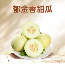 郁金香甜瓜正宗云南小香瓜应季现摘现发当季整箱新鲜云南包邮现货