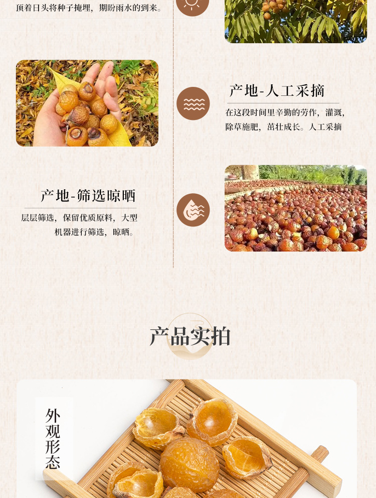 Dried Soapberry Husk Wu Huan Zi Shell Natural Soapnut Peels 500g quality and texture