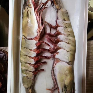 ���l�Ұ���ڻ��r �������r���u��ˮ���R�r�YƷ���r һ������