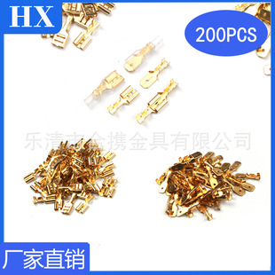 �羳؛Դ 200pcs���b��ɫ6.3mm��ĸ������o�ײ��ʽ��ɲ�Ƭ����