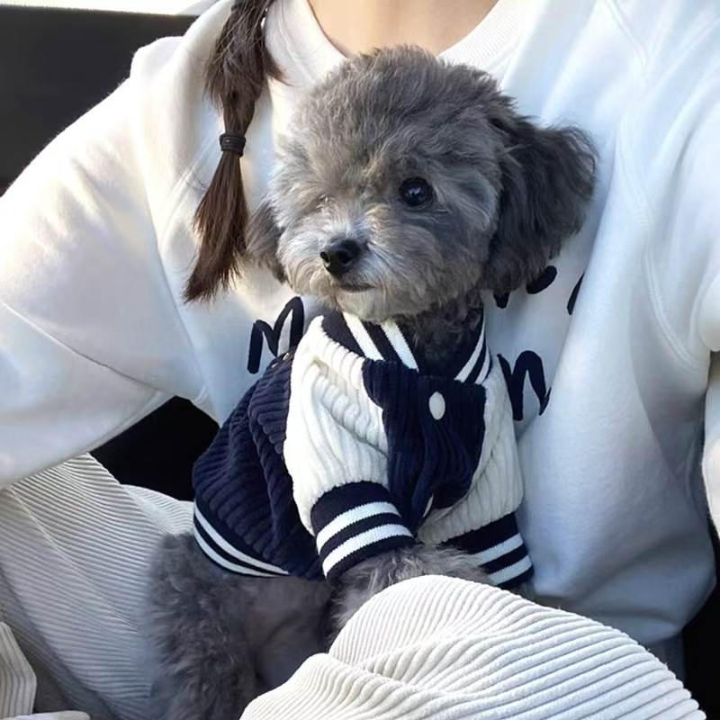 Versão coreana do uniforme de beisebol para cães, jaqueta para animais de estimação, roupas de pelúcia, Bichon Frise, Pomeranian, cachorro e gato pequeno, roupas de outono e inverno, roupas quentes