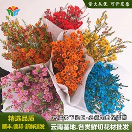 鲜切花;园艺工具;干花