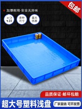 ���z���D���ش�̖�������ӷ��P�����бP�L��������\�P�ӹ��I�z�P