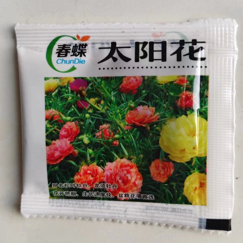太阳花