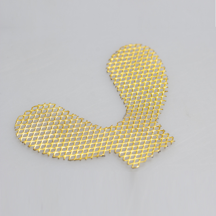 Prótesis dentales, malla metálica, malla de refuerzo, malla resistente, equipo oral