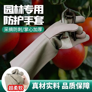 ţƤ�������׌��I�@�ֈ@ˇ�޼�ժ�����������¼������Ʒ��̷���