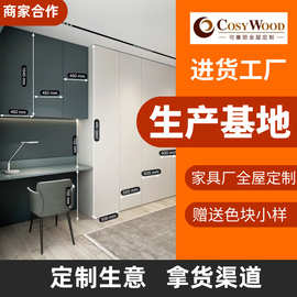 全屋定制柜子加工厂柜门定制家具定做可塞丽批发