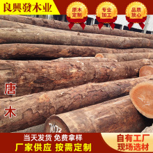 �����|ݸ��ľɽ��ľӡ�Ფ�}��ľ�M�����sľ�����ľ������