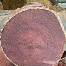 �M�ڴ�����ľԭľ ��������ľ����ԭľ �Ž���������ľ�ò�