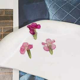 真花滴胶配件相思梅干花标本封胶半成品跨境饰品耳环项链材料手链