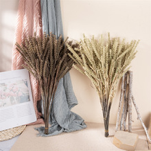 ���Ƚj�D���뵾�����ӟ�����С�����赸���߻��r�����b�Ʒ���