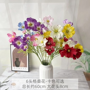 ��˹�Ն�֦��ɣ���Ҿ��b�c��Y���ٻ��S�����l�Ҿ��b��滨