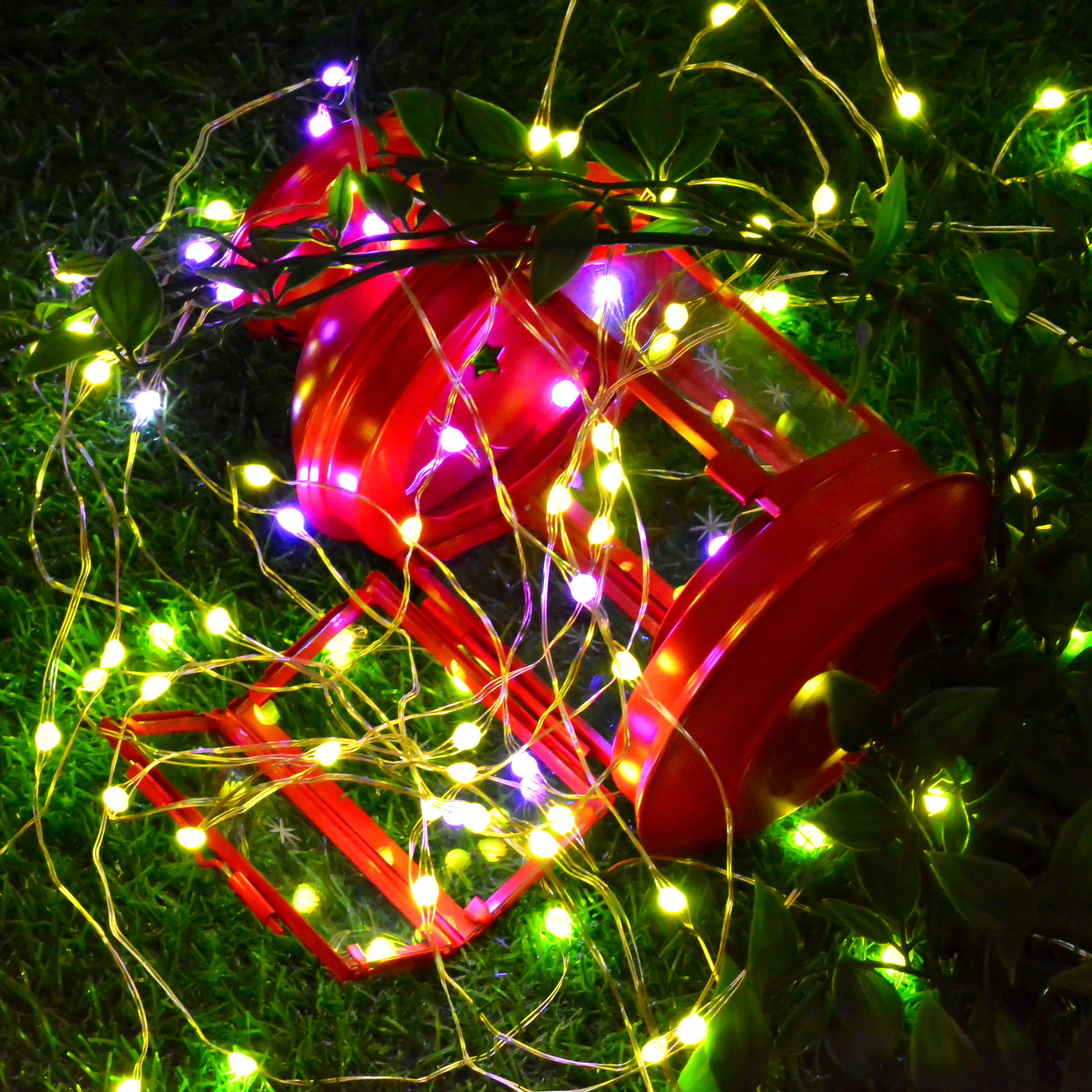 厂家直销点控灯串 APP多功能控制长灯串仙女房屋装饰灯串