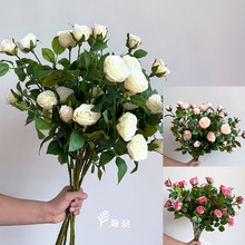 ��Ʒ�Tʿõ����滨�Ҿ��b���������������c�����廨�ٻ����l