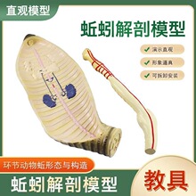 ������ģ�� ����������̌W���� �̌W�x��������� �̾�