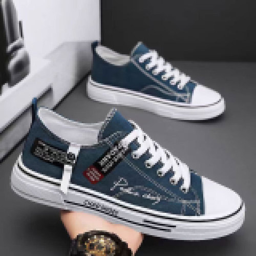 2025 Summer Canvas Shoes for Men, Classic Cloth Shoes, Youth Leisure Daily Canvas Shoes, Classic Trendy Shoes