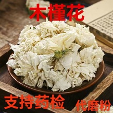 ��ș��ľ�Ȼ� ��÷�� ���Ȼ� ���_ĺ�仨 ���Ȼ� ɳĮõ�� ���仨