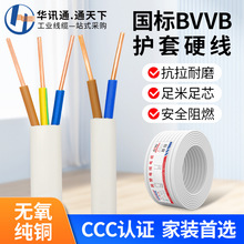 ���˼��~BVVB���b�����o�׾�1/1.5/2.5/4/6ƽ��2/3о�����Դ���|