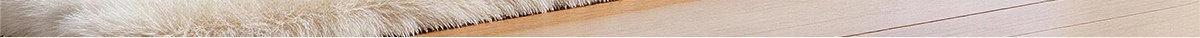 Kleberoller Fusselrolle abziehbar Ersatzrolle Haarentferner Haustier Tierhaarentferner Zuhause Kleidung Haare Reinigung Fusselentferner Rolle