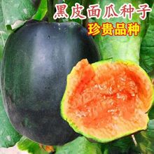 ��Ƥ��ϷN�Ӻ�Ƥ����ϴ��Ƥ��ϷN����ϴ������N�Ϲ��߲˷N��