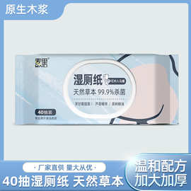 湿厕纸卫生湿纸巾家庭装成人湿巾纸便携装厂家现货批发浴室湿巾