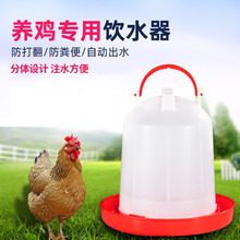 特价鸡用饮水壶 小鸡喝水饮水器自动喂水器喂鸡水壶 养鸡设备用品