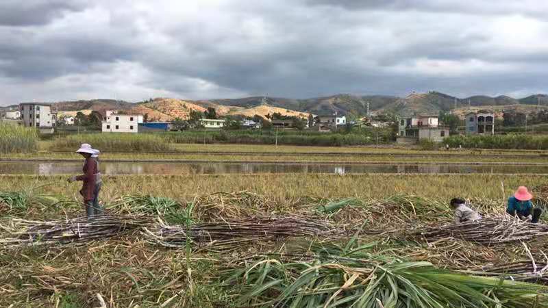 微信图片_20210416145905