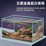 金晶超白玻璃鱼缸五线家用客厅桌面金鱼缸斗鱼生态造景水草乌龟缸