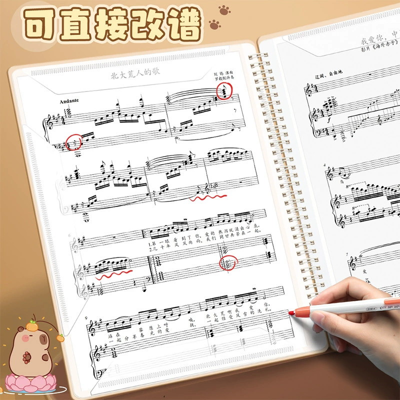 Сезонные年度 The score folder можно изменить папку баллов A4, отображение папки баллов, открыто -тип неотражающийся шкальный спектр прозрачный оптовый