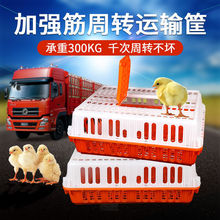 鸡笼周转箱塑料鸡笼运输笼子成鸡鸭周转筐鸽兔用养殖笼家禽周转箱
