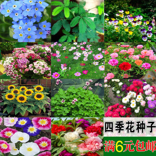 �׻�N�������ļ�����ͥԺ�������տ�̫ꖻ���˹�ձ��ɝM����