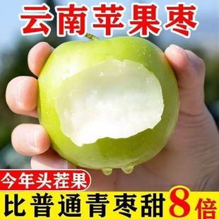 ������p��{�O���������֭��ā�������r��ժ��ţ�̴������5��