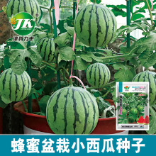 厂家大量批发蜂蜜盆栽小西瓜种子冰糖红心薄皮红瓤小型西瓜种籽