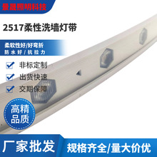 户外防水led柔性洗墙灯带低压24v软灯带桥梁外墙亮化工程可弯曲造