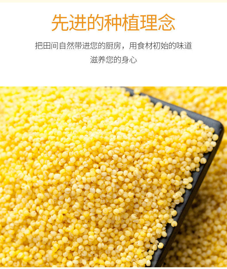 36bfc8af604ff7a88ae26cb2721686