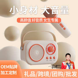 无线迷你蓝牙音箱家用外贸礼品便携儿童K歌音响一体机