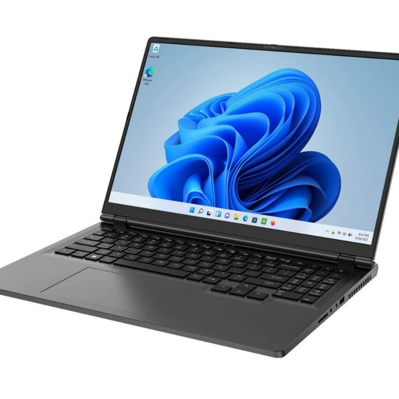 Ноутбук, 6 ГБ, RTX 4060, Intel Core i9, Intel Core i7