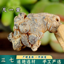 【凡一堂】三七头 20头 云南文山道地选材 田七粉片 60头