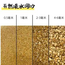 �~���쾰ɳ��Ȼ��ɳˮ�ݷNֲˮϴ��ɲ����������挍���ɰ����