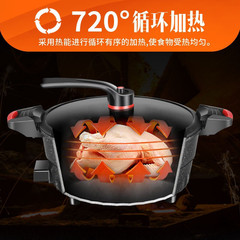 Multifunctional Electric Pressure Cooker New Electric Stewer Electric Hot Pot Cordierite Non-stick Pot Household Steam and Cook in One Pot Wholesale