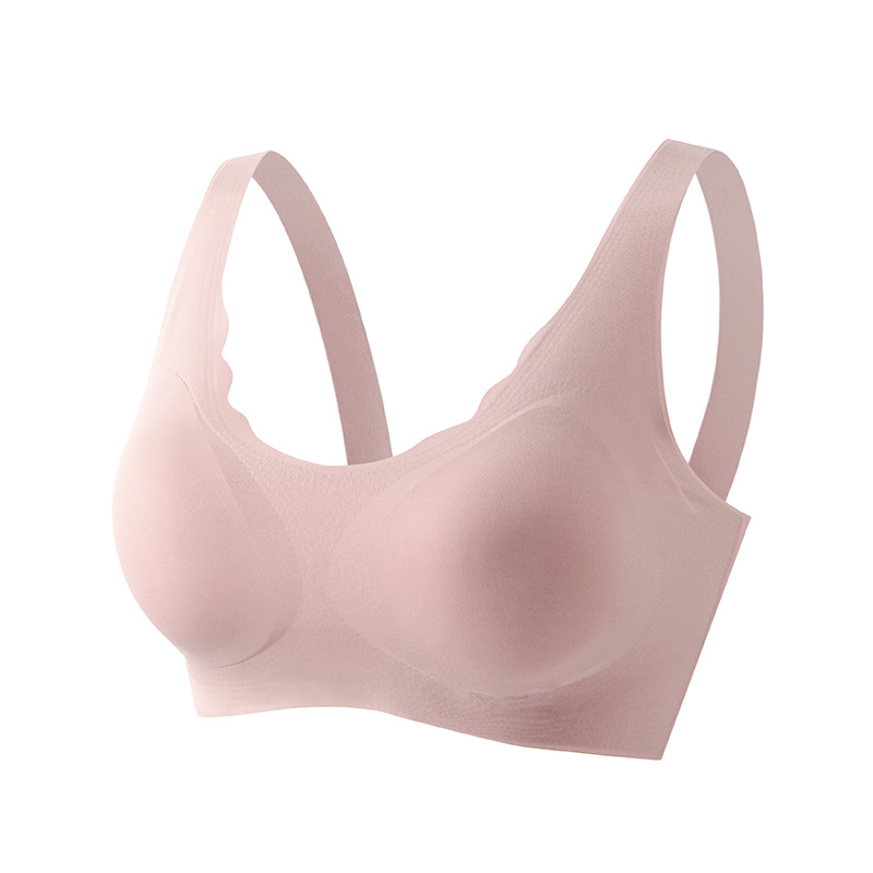 콩 페이스트 분말