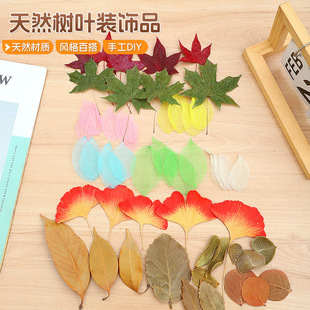 �羳����~ֲ��˱��׃��@�ֹ��N���ɻ�����DIY���ϰ��ɘ��~�b�