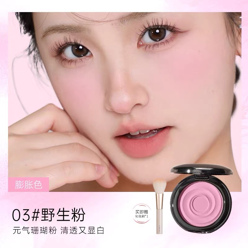 Z03#Wild Powder + Blush Brush