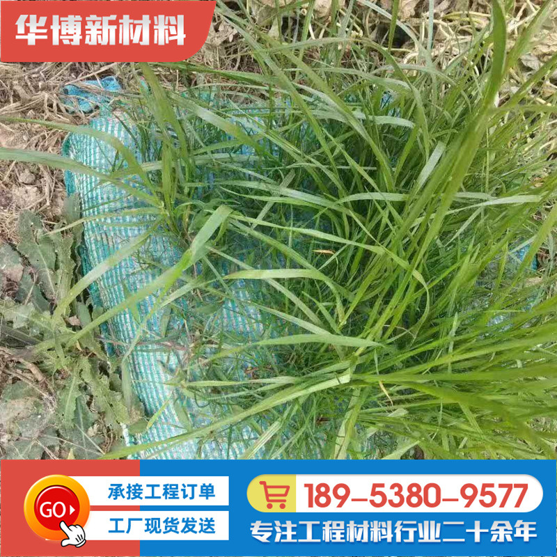 植生袋河道堤坝边坡护坡绿化草籽植生袋40*80双层绿色植生袋