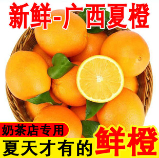 ���l�V�����r�ĳȸ��ٳ���ե֭�̲���֭�ꌣ��Ě���rե��������