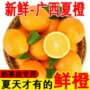 广西商用鲜榨榨汁脐橙