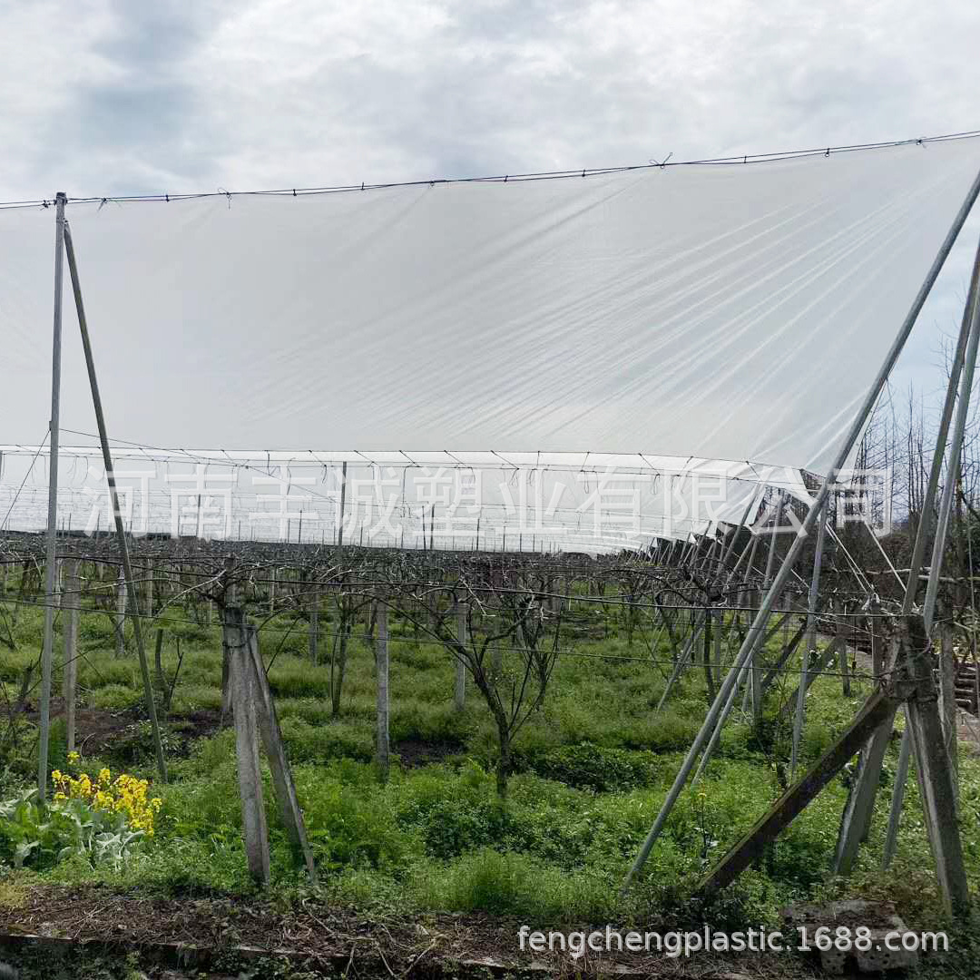 猕猴桃用防雨防冰雹编织膜 包边打扣透明编织膜苹果防冻膜