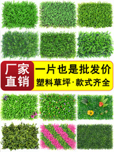 �ٲ�Ƥ䁉|�������ϻ��������ƺ���ݸ��೬���˹��Gɫֲ�����b�